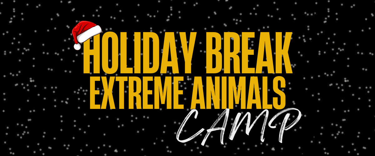 Holiday Break Extreme Animals Camp 